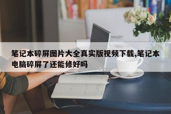 笔记本碎屏图片大全真实版视频下载,笔记本电脑碎屏了还能修好吗