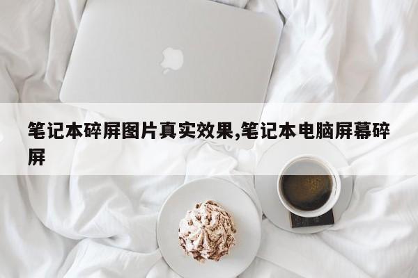 笔记本碎屏图片真实效果,笔记本电脑屏幕碎屏