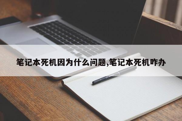 笔记本死机因为什么问题,笔记本死机咋办