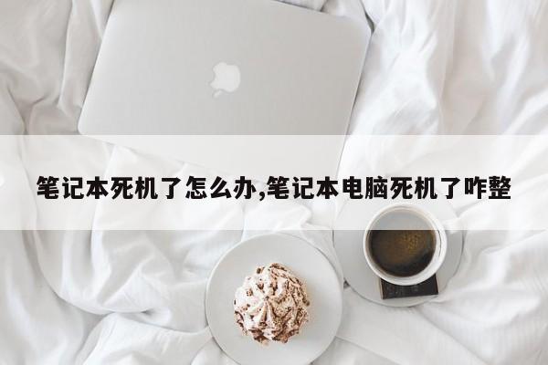 笔记本死机了怎么办,笔记本电脑死机了咋整