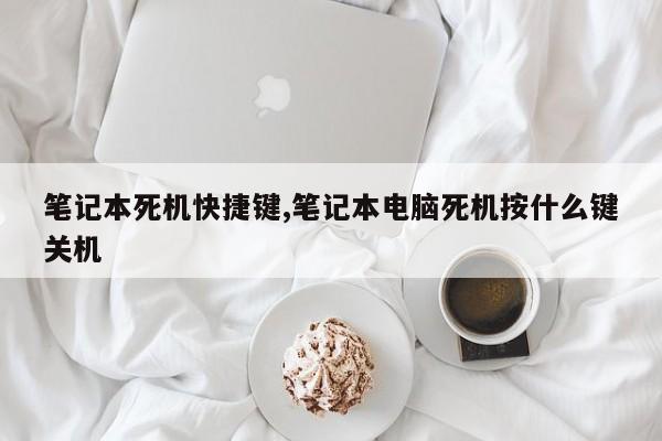 笔记本死机快捷键,笔记本电脑死机按什么键关机
