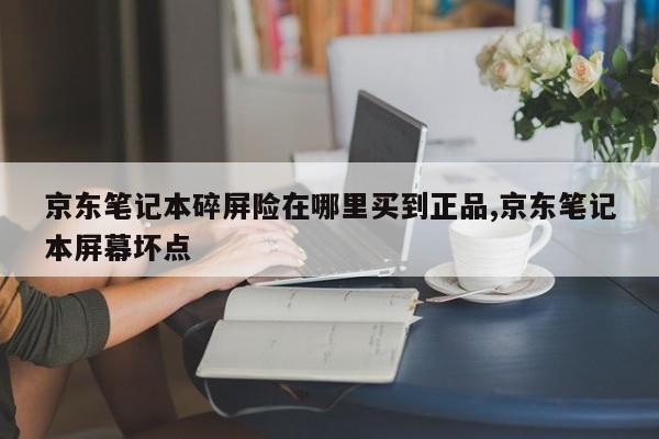 京东笔记本碎屏险在哪里买到正品,京东笔记本屏幕坏点